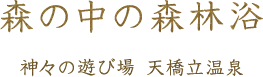 森の中の森林浴 神々の遊び場 天橋立温泉